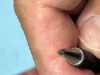 Picture of Advanced Trigger Fitting